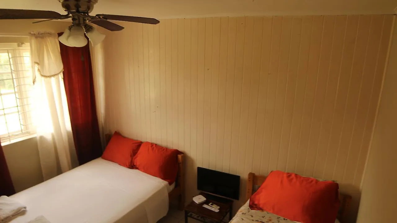 The Artiste'S Boutique By Bohemian Lodges Kingston